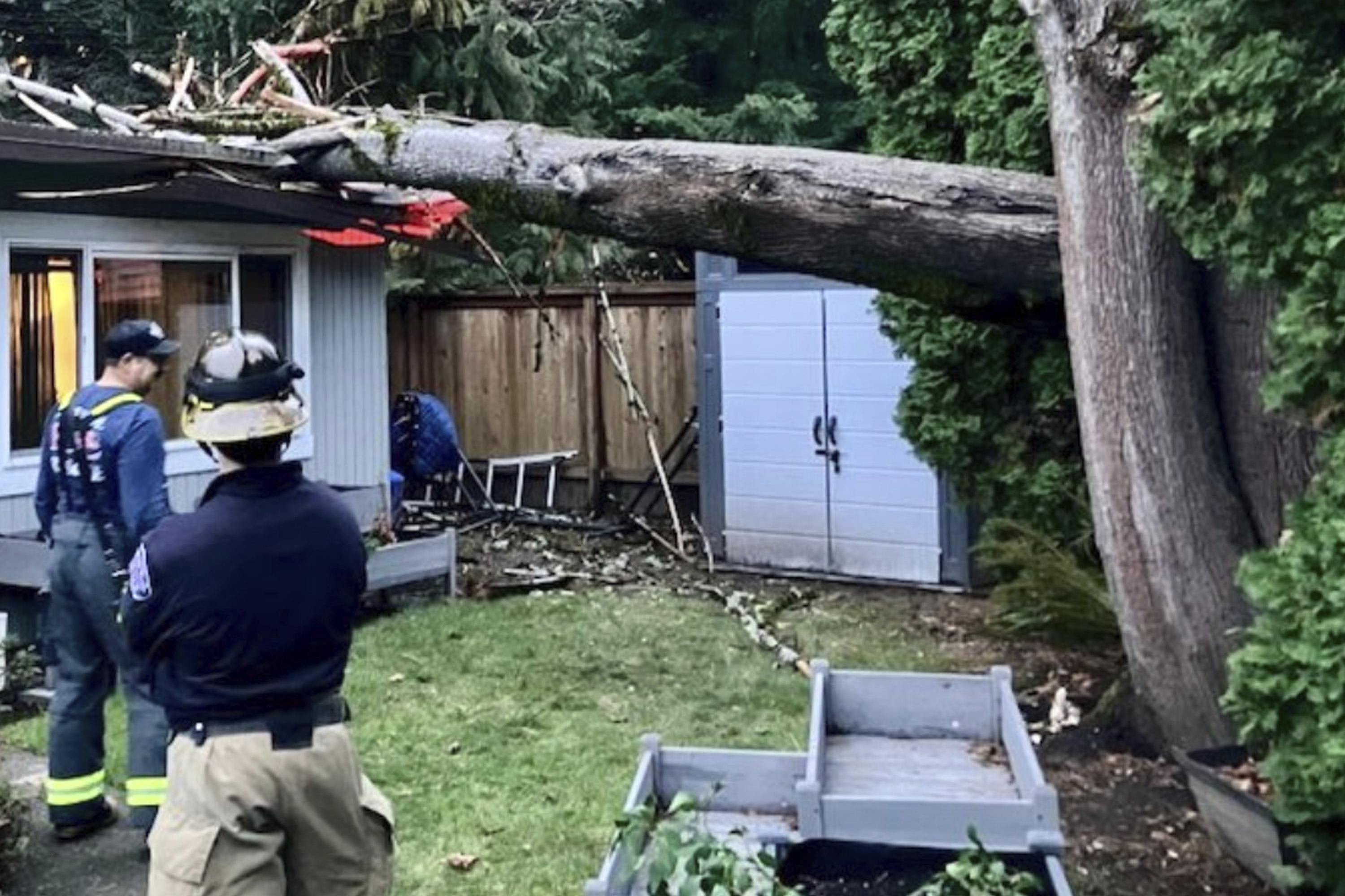 'Bomb cyclone' knocks out power to over 600,000 and downs trees across northwest US, killing 1