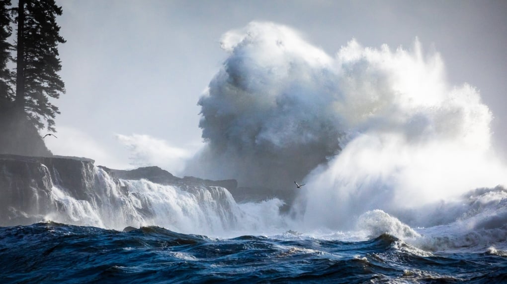 'Bomb cyclone' to bring high winds to the B.C. coast