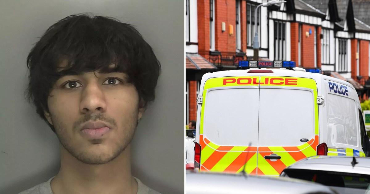 Boy, 16, posed as own girlfriend to lure love rival before stabbing him in the heart