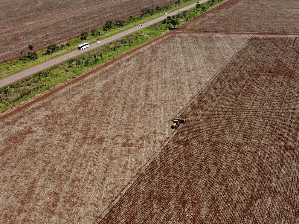 Brazilian state law overturns soy moratorium that helped curb Amazon deforestation