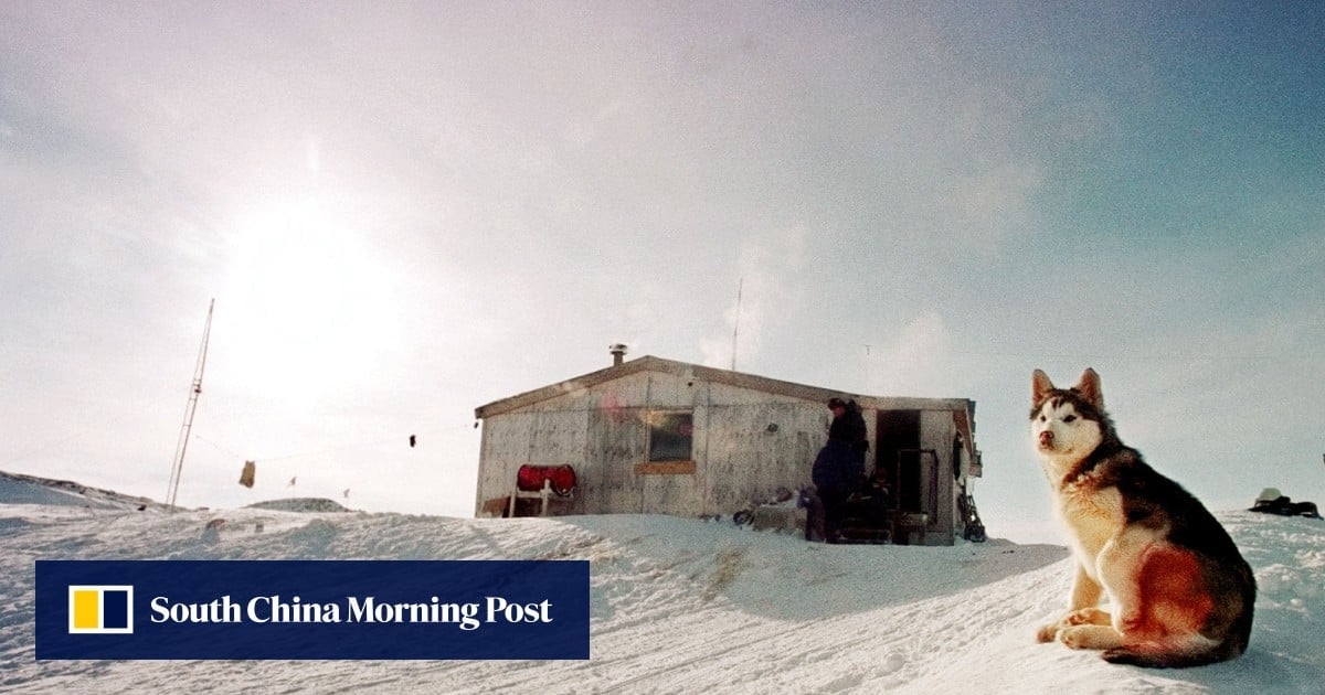 Canada apologises to Inuit communities for mass killing of sled dogs decades ago