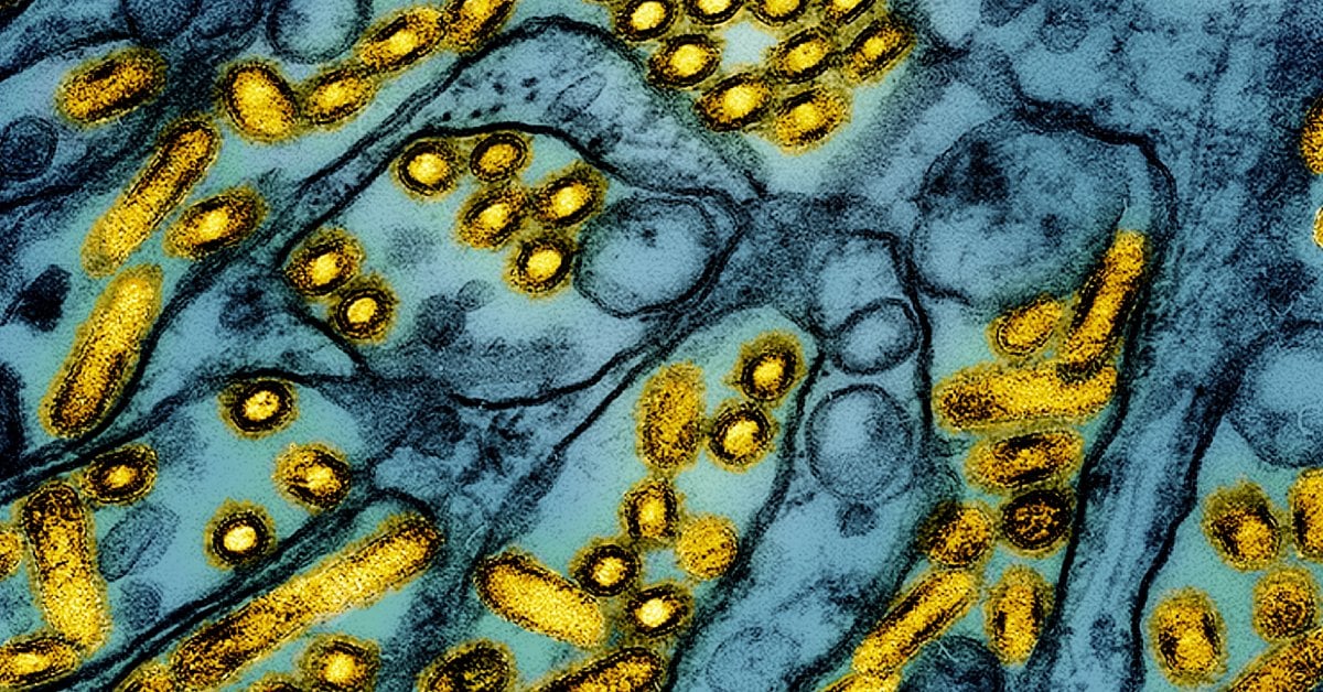 The First Child in the U.S. Has Been Diagnosed With Bird Flu