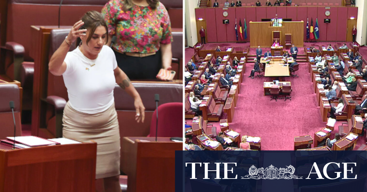 Chaos on final day of parliament for the year