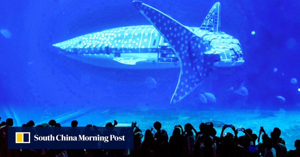 China aquariums opt for robotic whales to cut costs, leaving visitors feel deceived