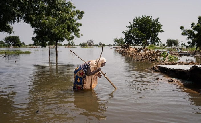 COP29 - Drought Warnings Save Lives, What About Livelihoods?