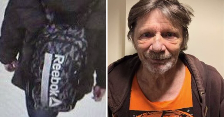 Crews scour Saanich for missing man with dementia