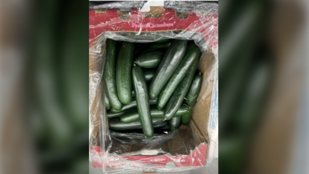 Cucumbers sold in Ontario, other provinces recalled over possible salmonella contamination