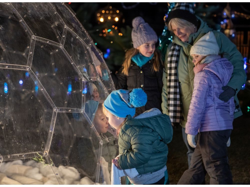 Discover the Magic of Winter Wonders at Royal Botanical Gardens