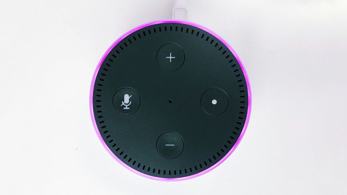 Do Voice Assistants Like Alexa Help Alleviate Loneliness in the Elderly?