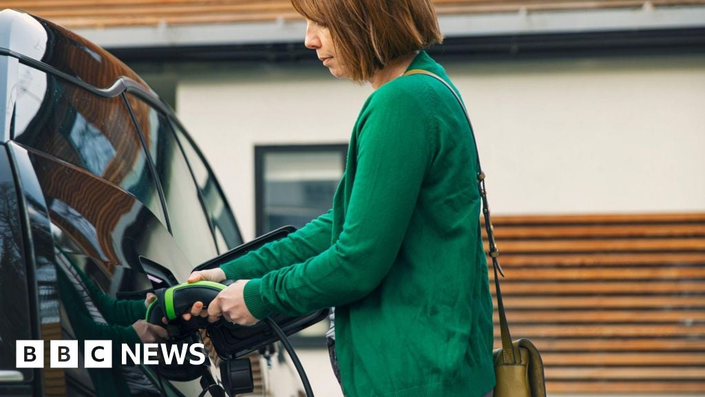 Electric car sales targets could be eased as demand flags