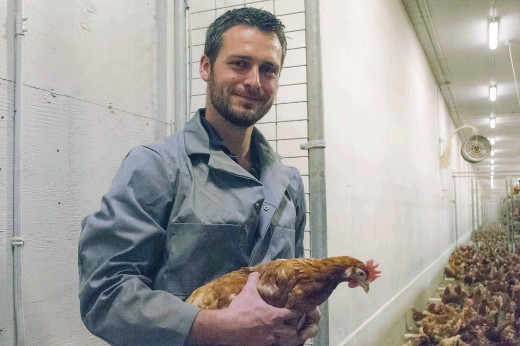 'Emotional time' for B.C. poultry farmers who have to cull thousands of birds