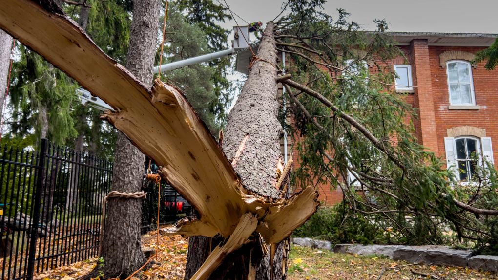 Experts investigate possible tornado in Fergus, Ont.