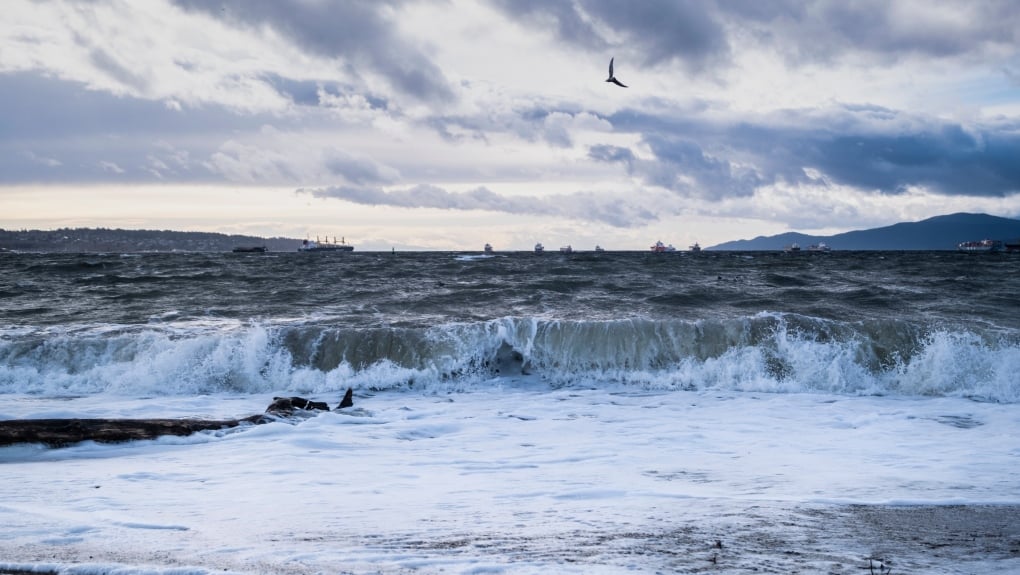 Fall storm could bring 'hurricane force' winds to B.C., forecasters say