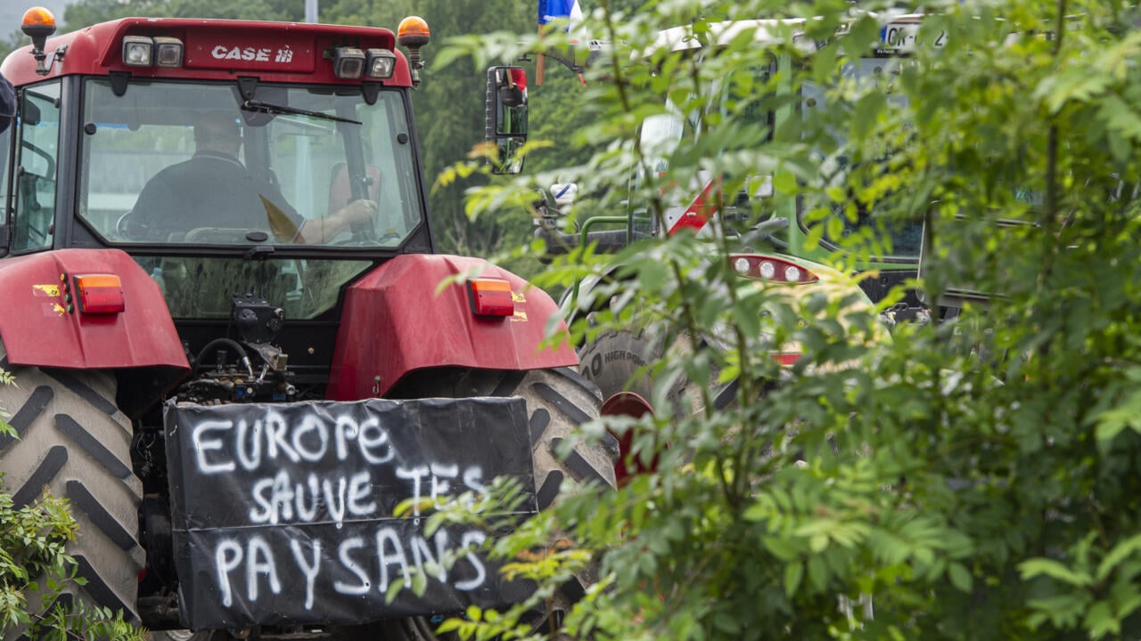 French farmers to protest Mercosur deal boosting South American imports