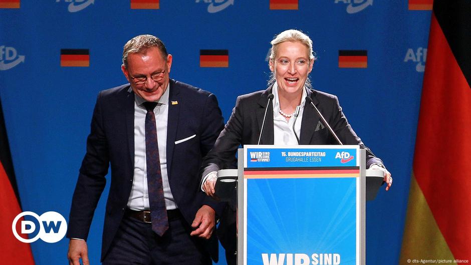 Germany's far-right AfD looks to capitalize on snap election