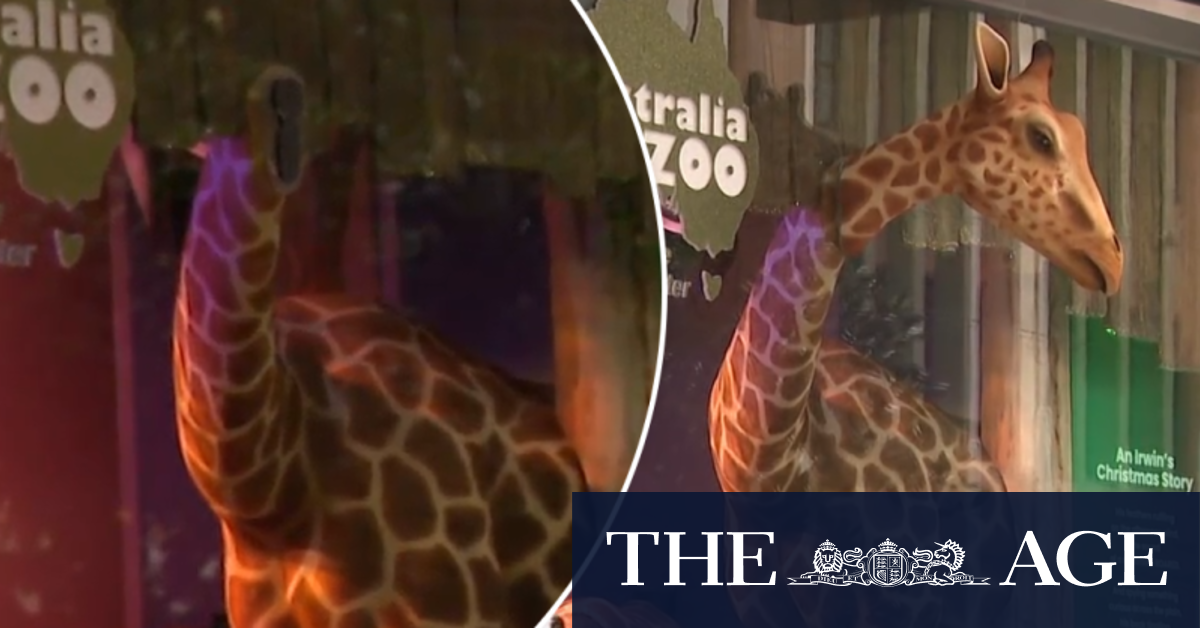 Giraffe head attached to Myer's annual Christmas windows vandalised