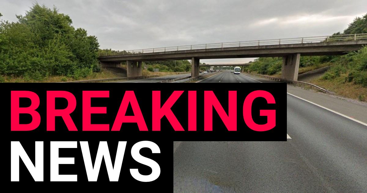 Girl,17, killed after being hit by a car on the M5 in Somerset