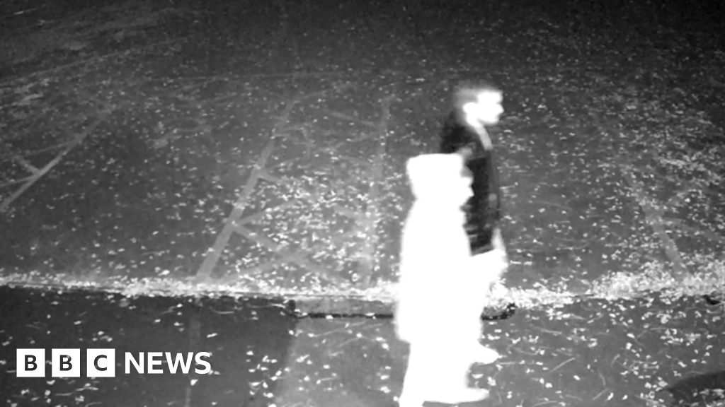 Harshita Brella murder: CCTV shows her walking with husband