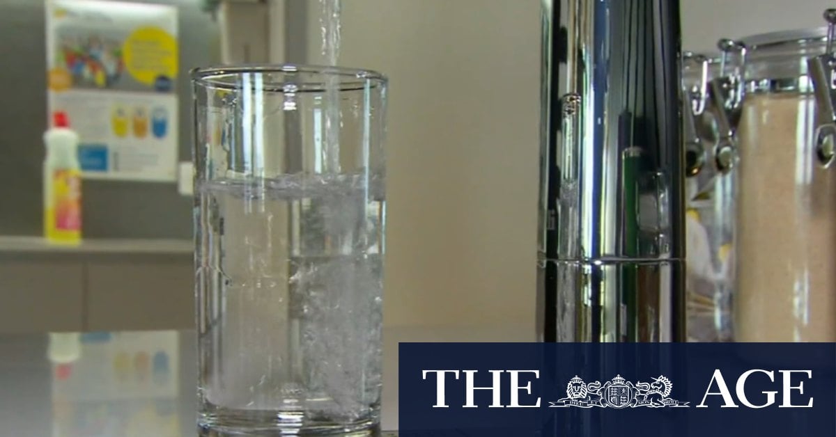 High levels of 'forever chemicals' found in Brisbane's drinking water