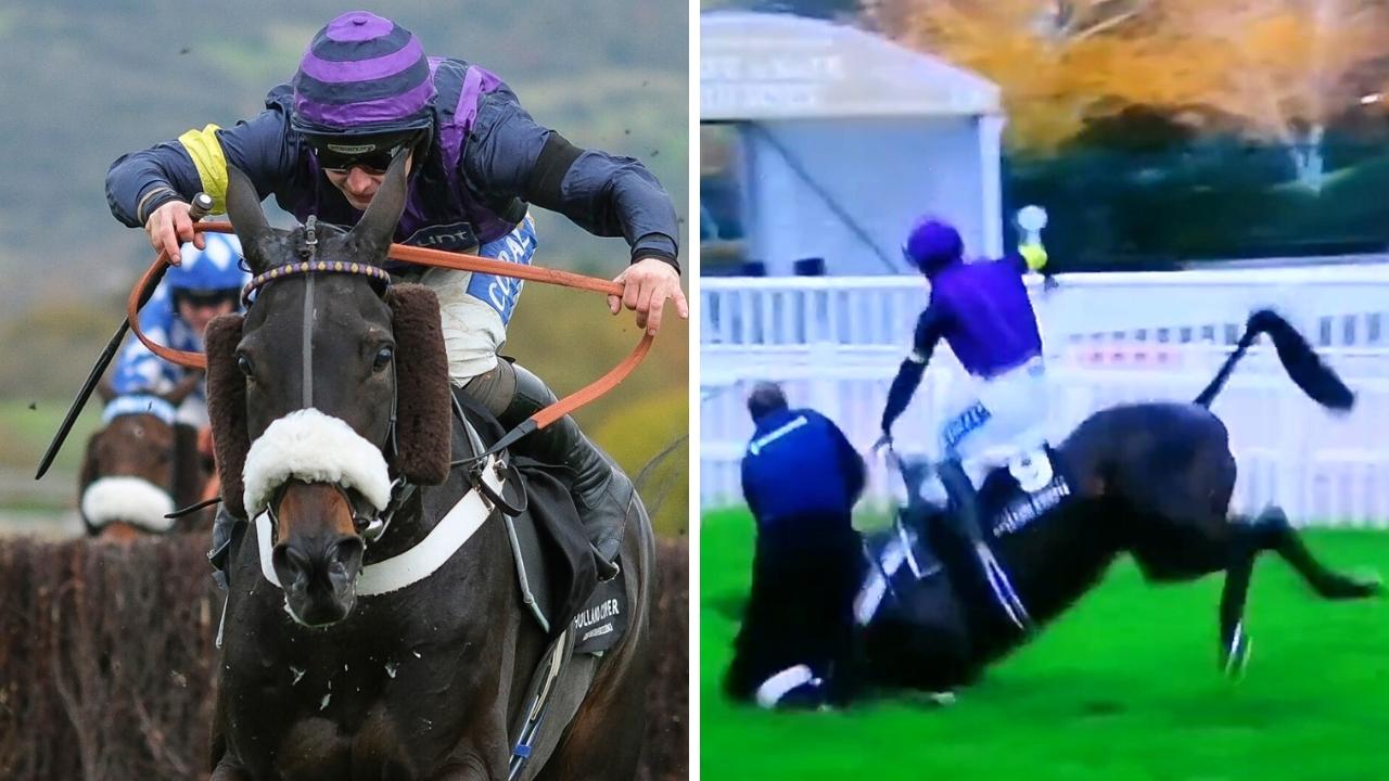 Horror as horse dies during live interview