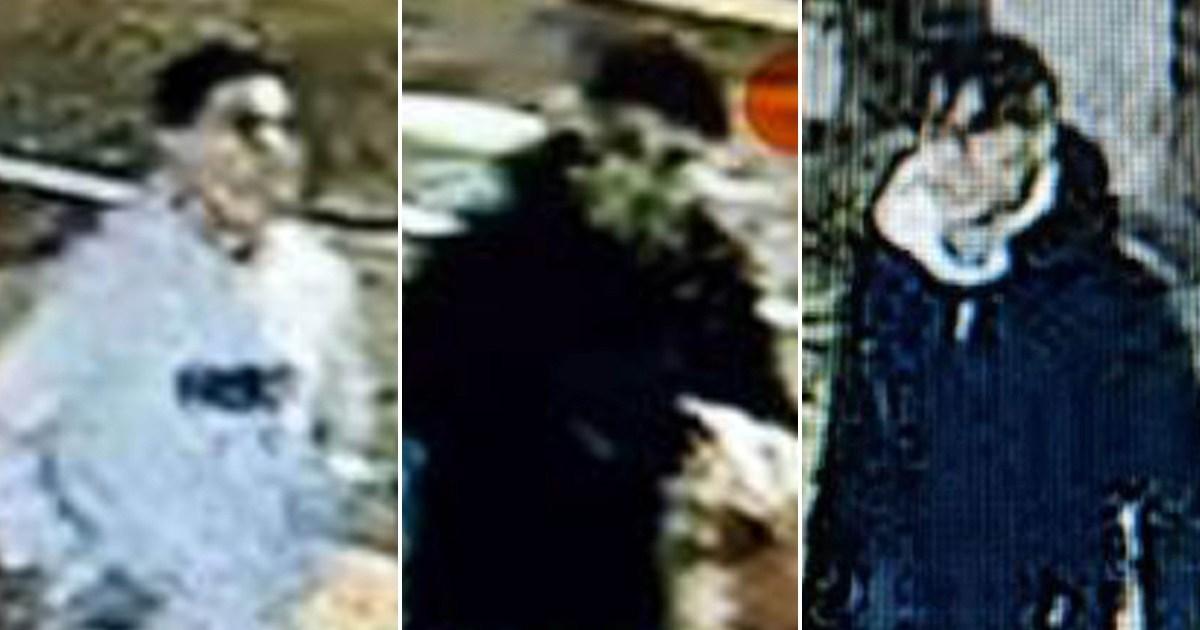 Hunt for three males after schoolgirl, 14, raped in alleyway in Leeds