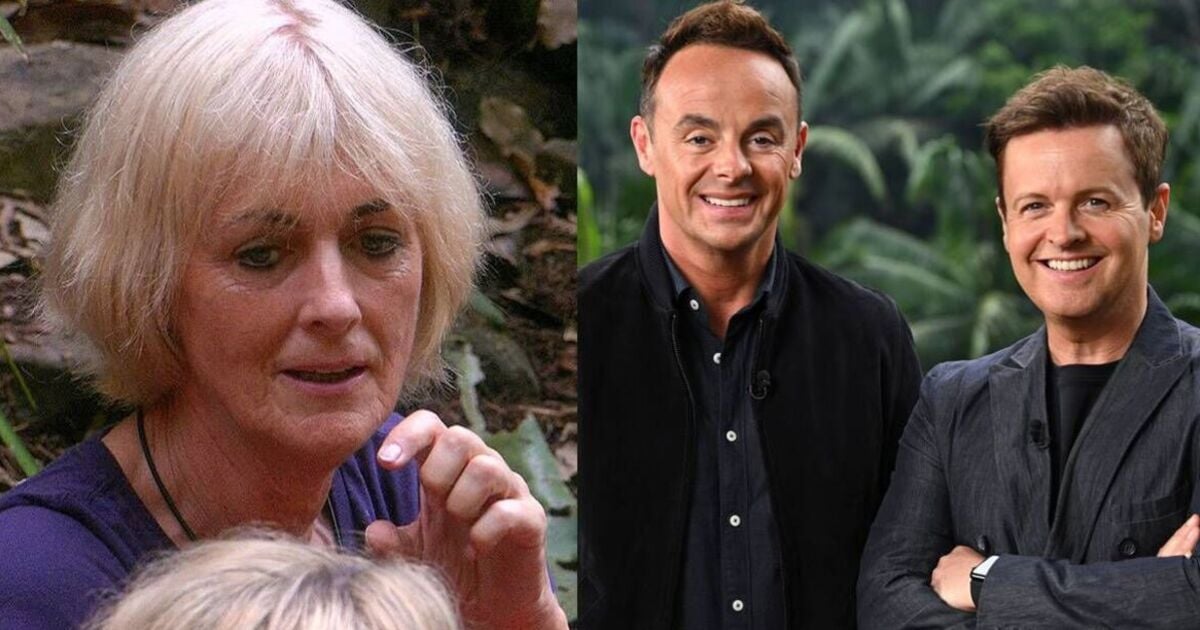 I'm A Celebrity hosts Ant and Dec slam Jane Moore over 'unfair' attack 