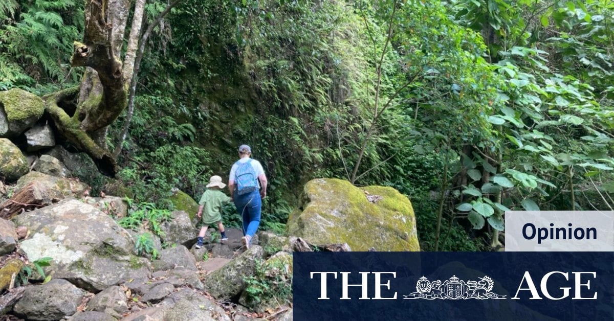 I took a Perth kid to the Queensland rainforest. Was I doing something wrong?