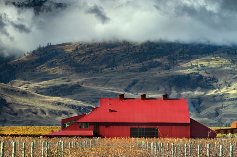 Immersive Elegance at the Transformed Red Barn Winery at Jagged Rock