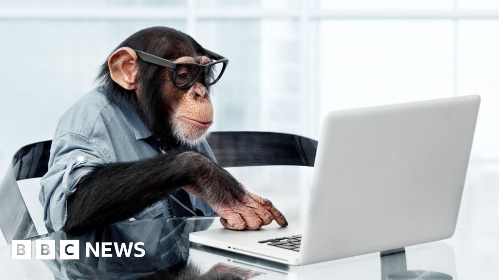 'Infinite monkey theorem' debunked by Australian mathematicians