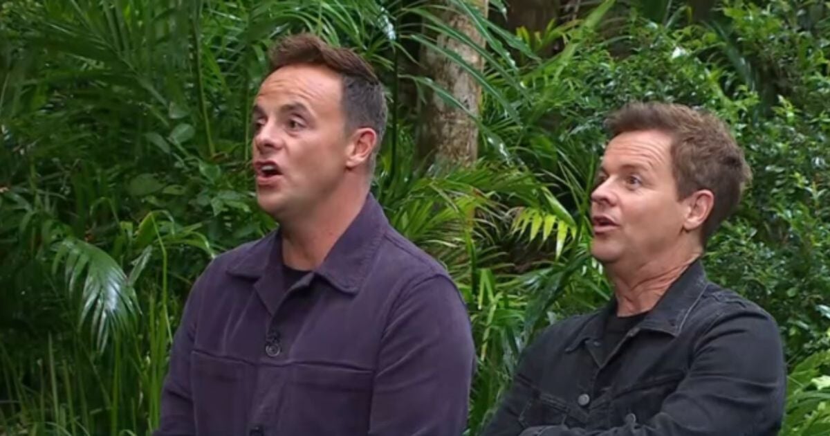 ITV I'm a Celeb fans say two stars 'have a target on their backs' after awful trial