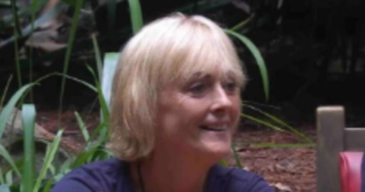 ITV I'm A Celeb's Jane Moore supported as 'ageist' and 'misogyny' row rolls on