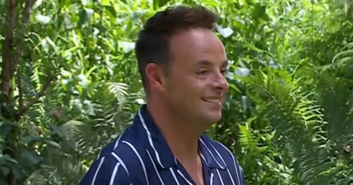 ITV I'm A Celebrity 'feud' exposed as body language expert spots three glaring clues