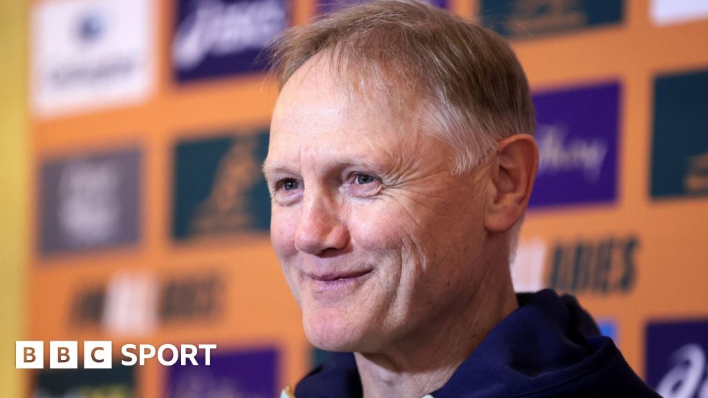 Joe Schmidt: Australia coach will feel 'emotion' when Wallabies face his former Ireland side