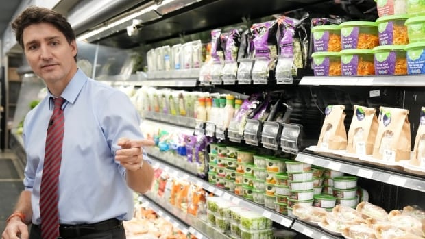 Justin Trudeau tries to find a cure for 'inflationitis'