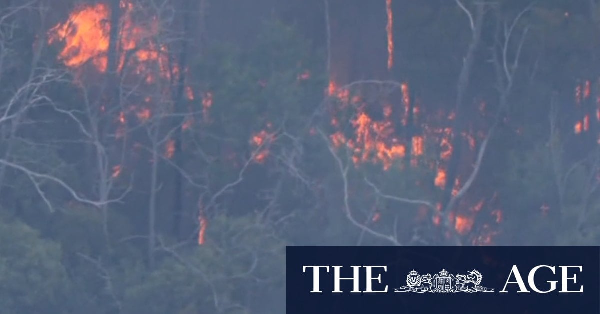 Large parts of Australia facing increased bushfire risk this summer