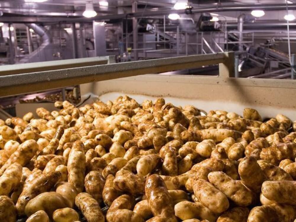 Main takeaways from potato cartel lawsuits and what might come next