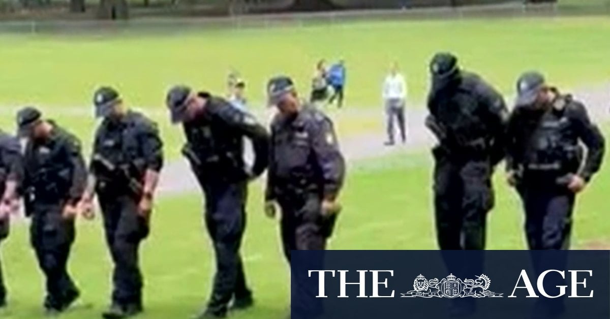 Man charged after water pistol shooting scare outside NSW parliament