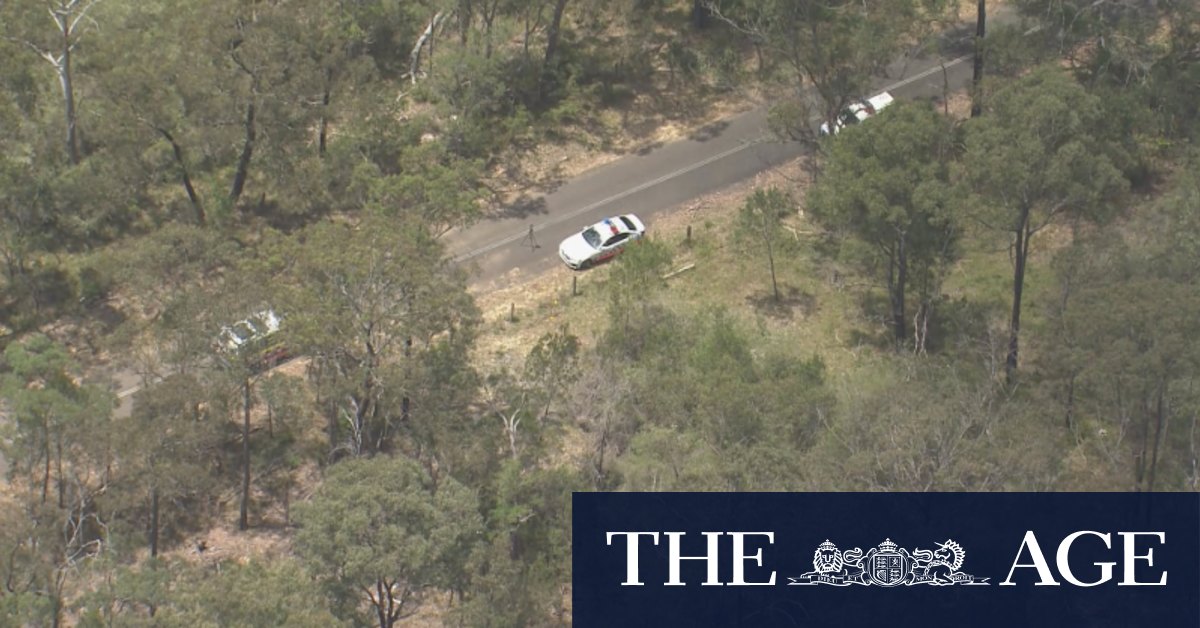 Man charged with murder of 15-year-old boy found in Sydney bushland