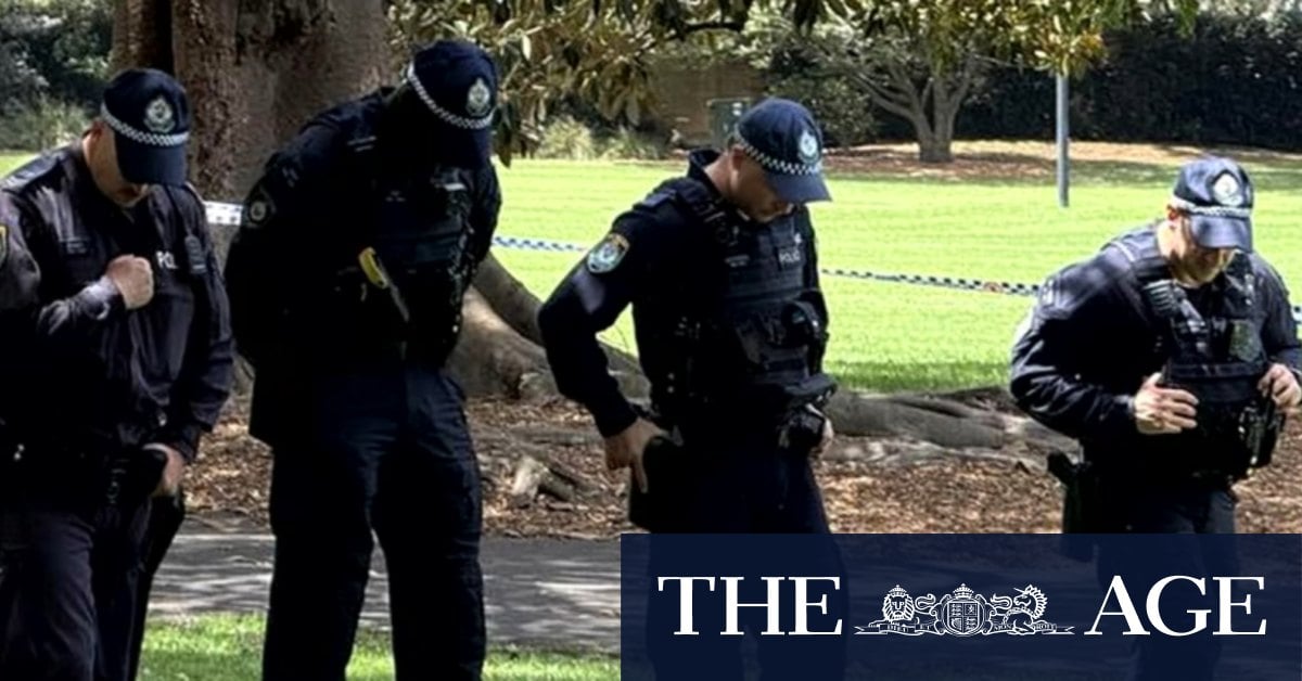 Man seen fleeing state parliament with replica gun