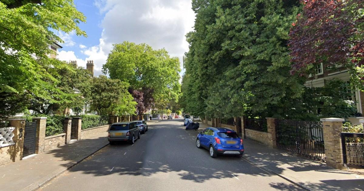 Man seen with a gun on wealthy London road was actually holding an umbrella