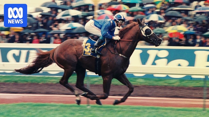 Melbourne Cup winner Wayne Harris reflects on his place in racing history