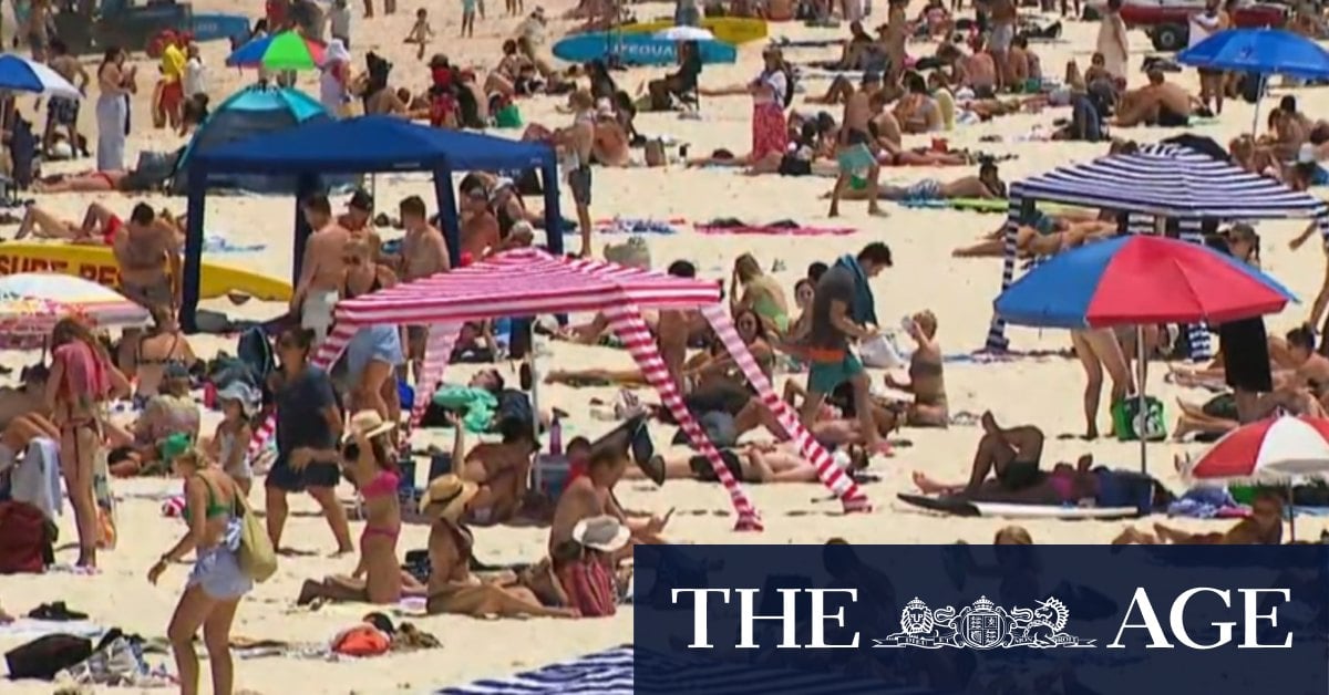 New blood test signals major breakthrough in Australia's fight against skin cancer