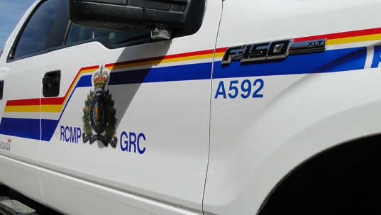 No injuries after series of collisions involving moose: Sask. RCMP