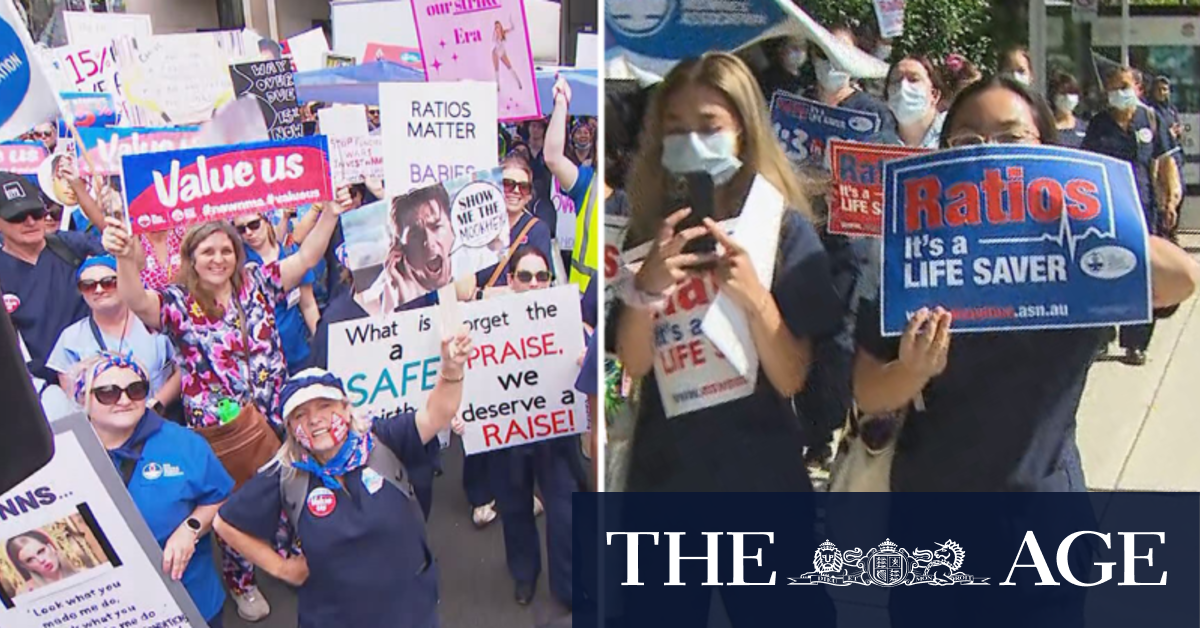 Nurses and midwives across NSW start 24-hour strike