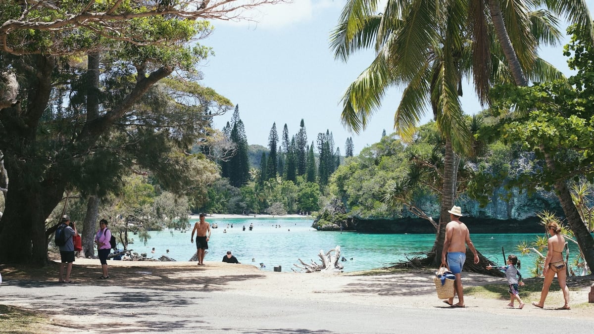 Pacific Islands Academy of Sciences Launches to Boost Regional Research and Support Young Scientists