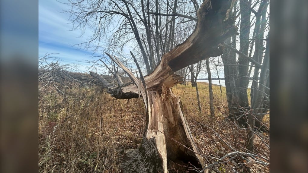 Pair of rare November tornadoes touch down in New Brunswick last week