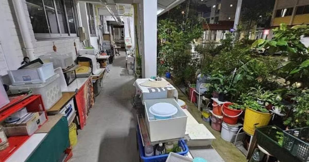 Plants, boxes and more: Yishun resident fills common corridor with personal belongings 