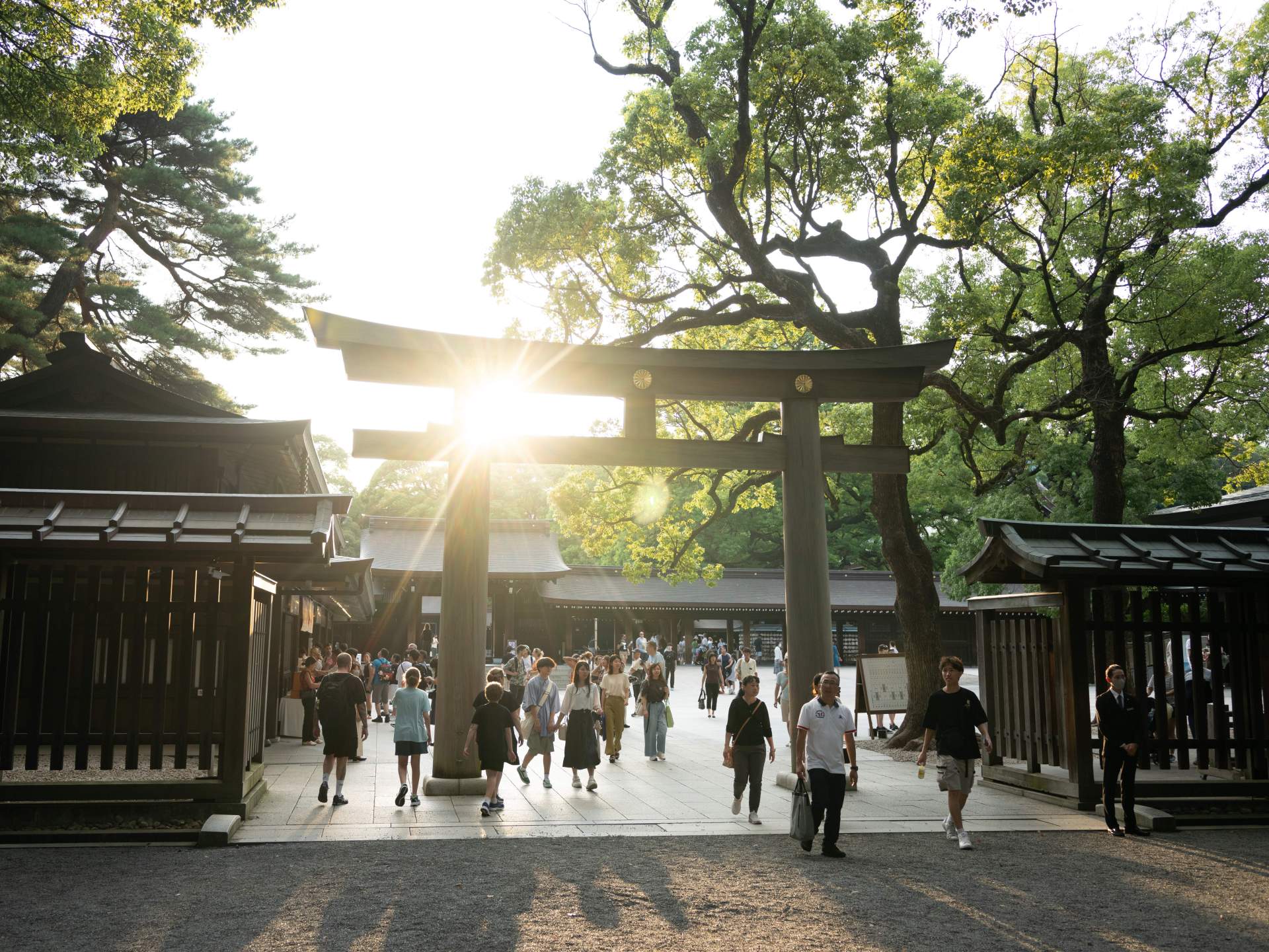 Police arrest US man for allegedly scratching letters into Japanese shrine