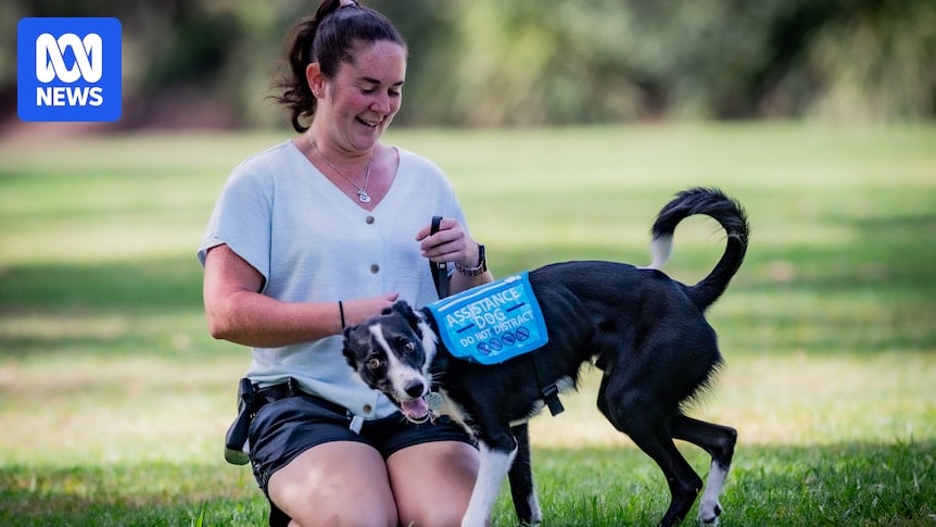 Qantas agrees to change assistance dog processes after being sued for disability discrimination