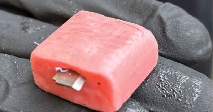 RCMP say razor blade found in piece of Halloween candy in Kamloops